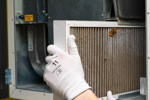 Best Dryer Vent Cleaning Services  in Amargosa Valley, NV